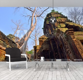 Picture of Ta Prohm temple with big tree and roots